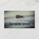 Search for wasp Pest control