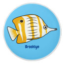 Search for fish knobs and pulls Illustration