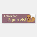 Search for squirrel bumper stickers Cute