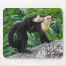 Search for ap mousepads Baby
