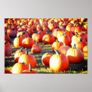 Search for pumpkin patch posters October