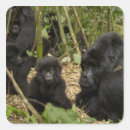 Search for mountain gorilla stickers Critically