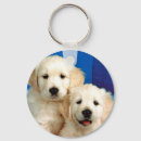 Search for labrador dog key rings Birthdays