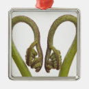 Search for cutout christmas tree decorations Natural world