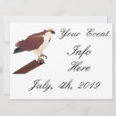 Search for hawk invitations Raptor