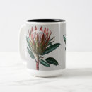 Search for protea mugs Nature