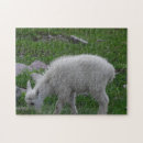 Search for goat puzzles Glacier national park