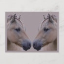 Search for norwegian postcards Animal