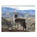 Search for charity calendars Wildlife
