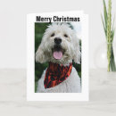 Search for dress christmas cards Unique