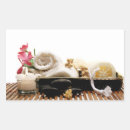 Search for towel stickers Spa