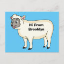 Search for wooly postcards Cartoon