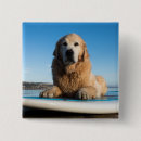 Search for surf board badges Sea