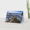 Search for retreated cards Photography