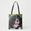 Search for tried bags Puppy