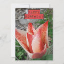 Search for tulips birthday cards Red