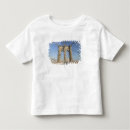 Search for walter bibikow tshirts Leading lines