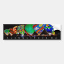 Search for festival bumper stickers Mexico