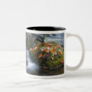 Search for mountain city mugs River
