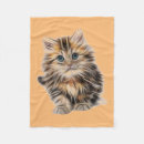 Search for blue eyes Kitten