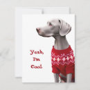 Search for weimaraner christmas cards Pet