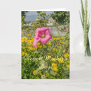Search for hollyhock cards Pink