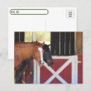 Search for horse stable postcards Farm