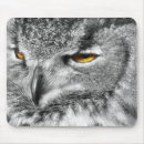 Search for eagles mousepads Bird