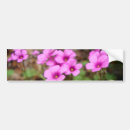 Search for botany bumper stickers For her