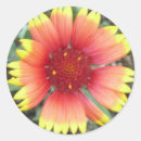 Search for blanket stickers Flowers