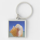 Search for pictures of shells key rings Ocean