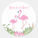 Search for baby pink flamingo stickers Pink and green