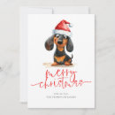 Search for doxies cards Weiner dog