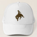 Search for broncos hats Horse