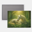 Search for enchanter magnets Magical