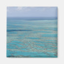 Search for queensland magnets Reef