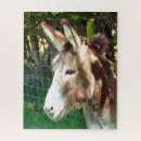 Search for donkey puzzles Pet