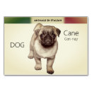 Search for flashcards Teachers