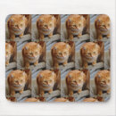 Search for template mousepads Dog