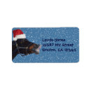 Search for funny horse return address labels Horses