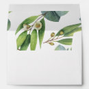 Search for eucalyptus envelopes Matching