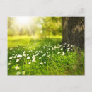 Search for create a postcards Photography