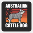 Search for cattle dog stickers Heeler