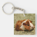 Search for baby pigs key rings Cute