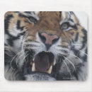 Search for aggressive mousepads Close up