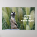 Search for meerkat art Funny