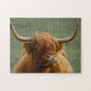 Search for highland cow puzzles Nature