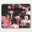 Search for flamingoes mousepads Animal