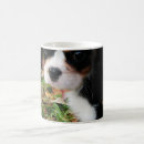 Search for king mugs Puppy