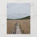 Search for marsh postcards Reeds